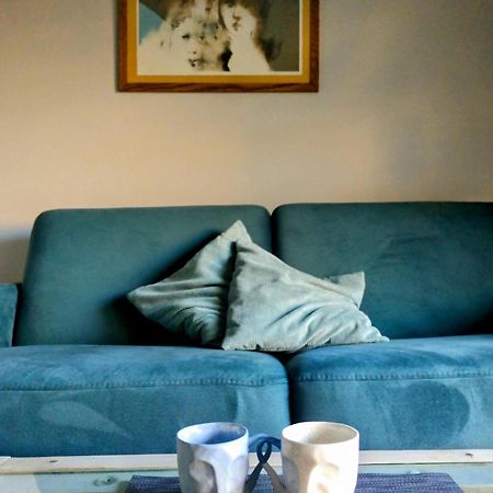 Friedleina 7 Kamienica Prezydencka Daire Krakow Dış mekan fotoğraf
